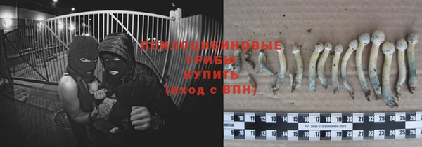 PSILOCYBIN Семёнов