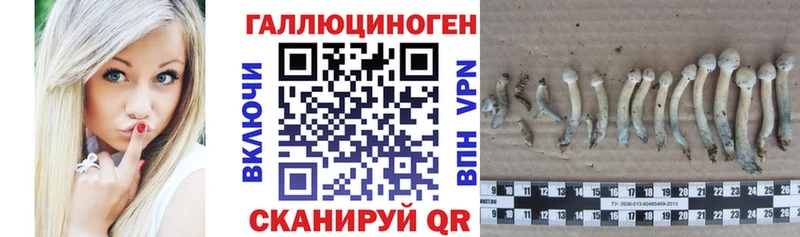 Галлюциногенные грибы ЛСД Краснокаменск