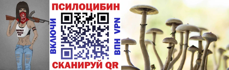 Галлюциногенные грибы Psilocybine cubensis  Краснокаменск 